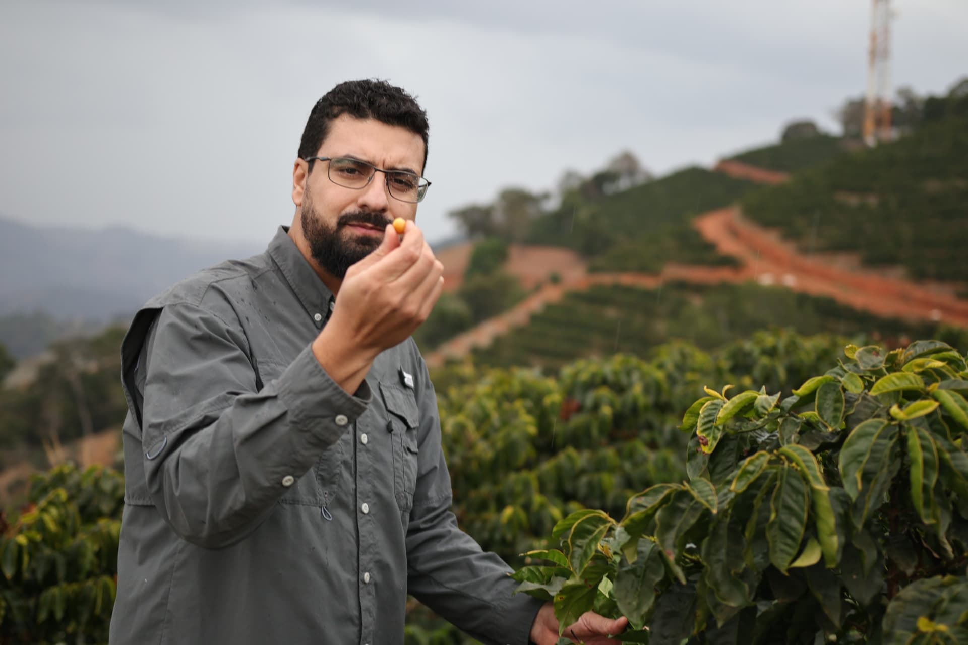 Jean Maciel segurando um fruto de café maduro em meio ao cafezal, com as montanhas da Mantiqueira ao fundo